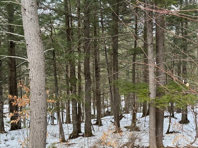 10 Little Falls Drive Concord Twp ME 04920