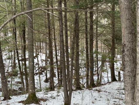 10 Little Falls Drive Concord Twp ME 04920