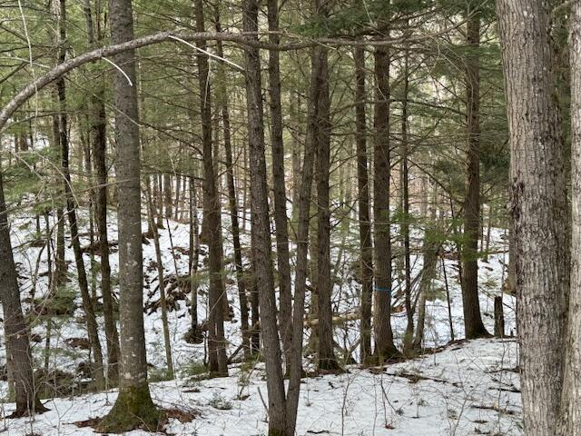 10 Little Falls Drive Concord Twp ME 04920