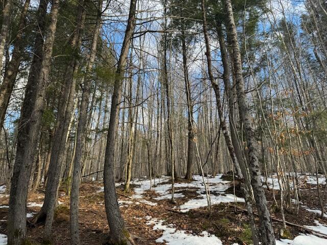 10 Little Falls Drive Concord Twp ME 04920