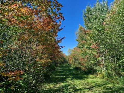 717 Crystal Road Crystal ME 04747