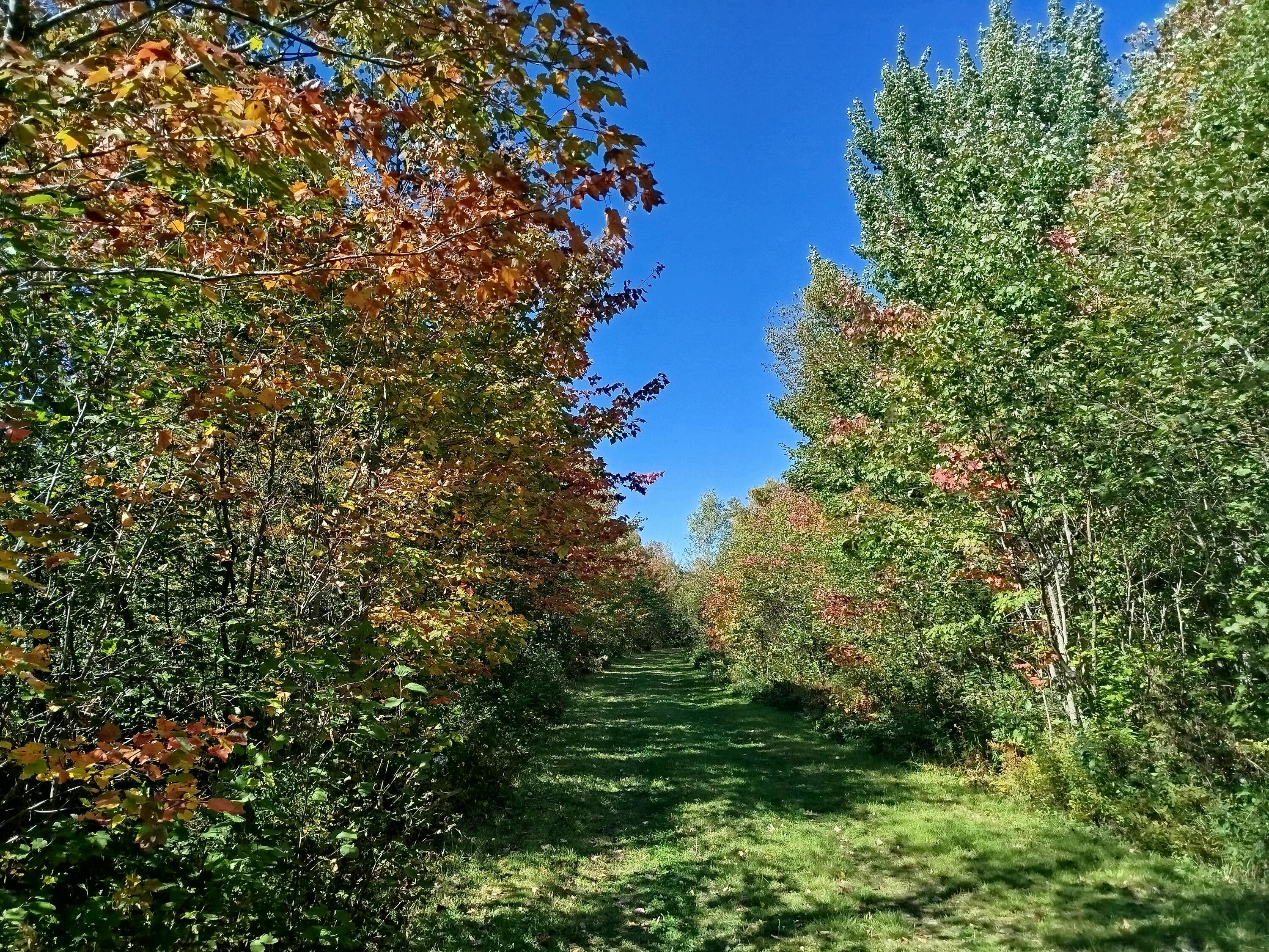 717 Crystal Road Crystal ME 04747