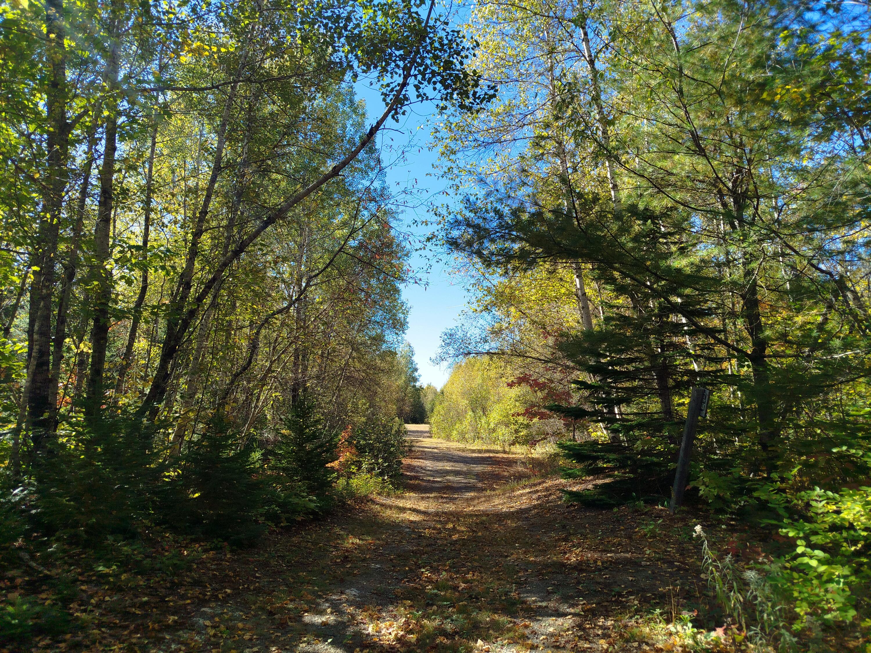 717 Crystal Road Crystal ME 04747