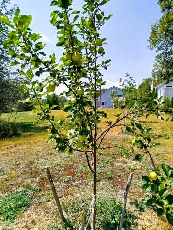 717 Crystal Road Crystal ME 04747