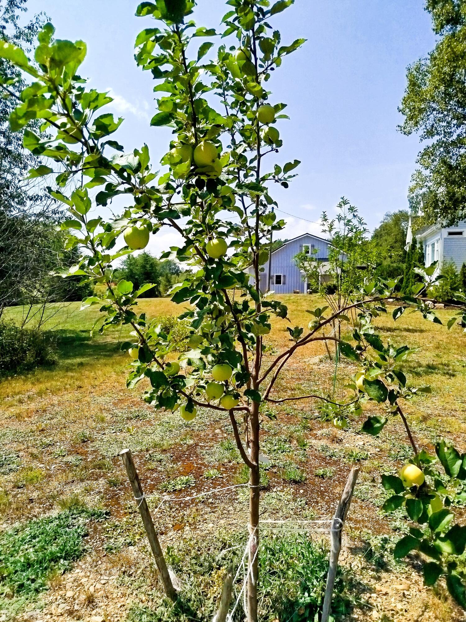 717 Crystal Road Crystal ME 04747