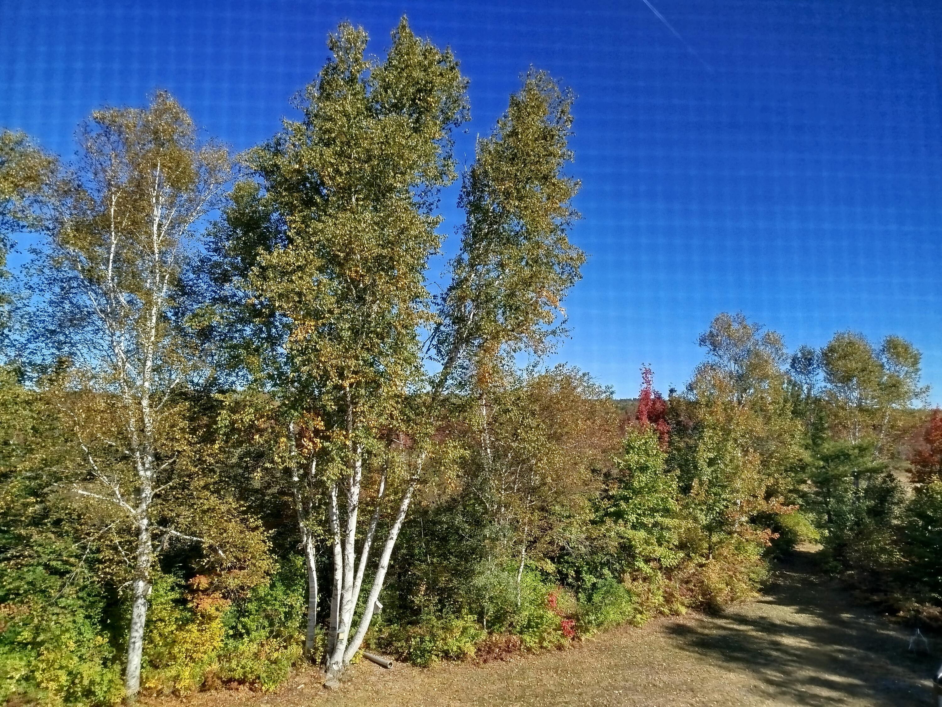 717 Crystal Road Crystal ME 04747