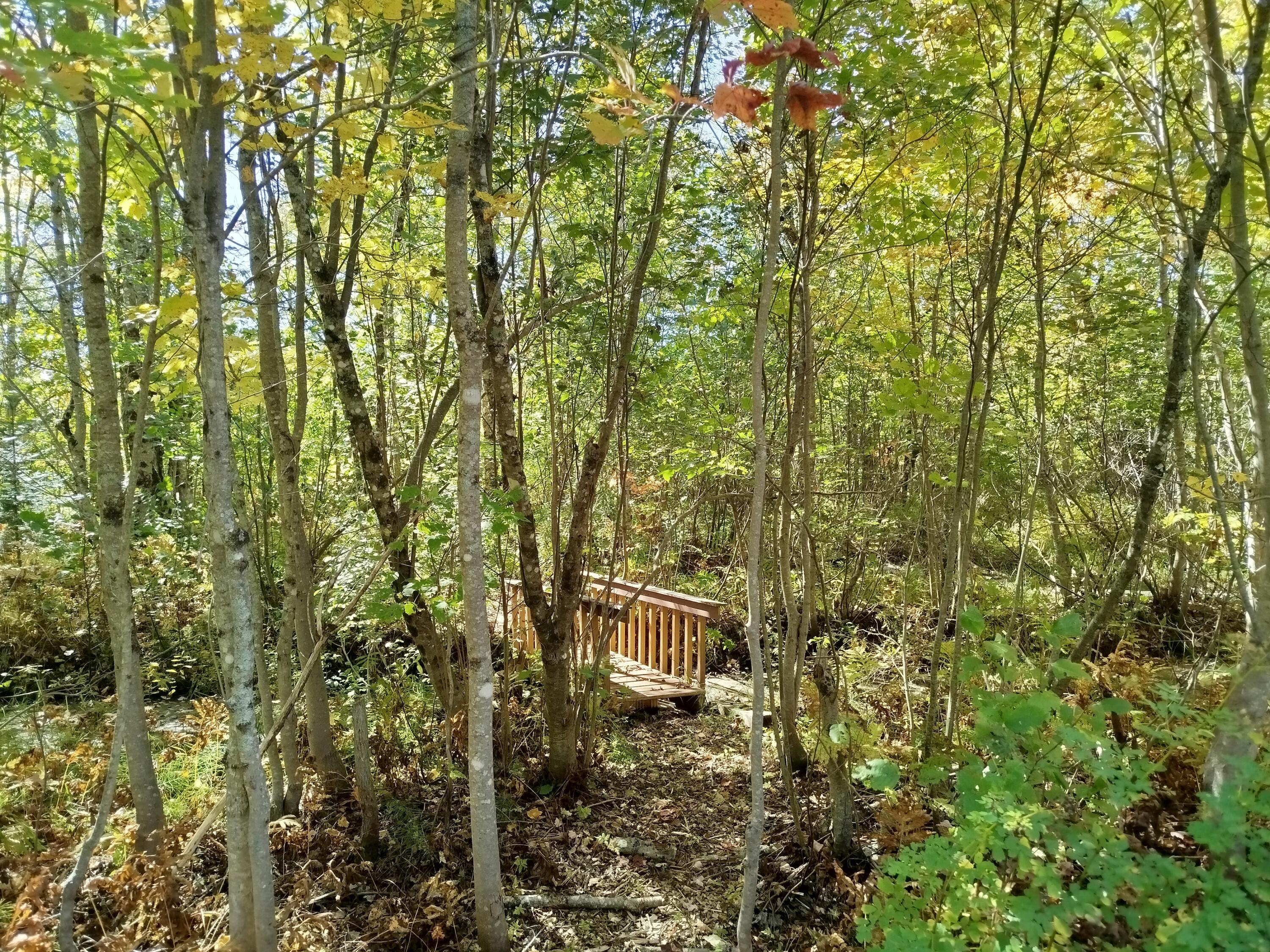 717 Crystal Road Crystal ME 04747