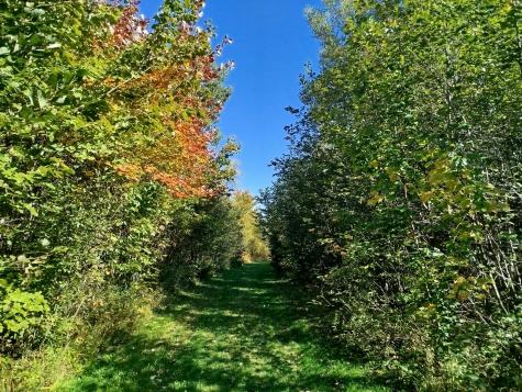 717 Crystal Road Crystal ME 04747