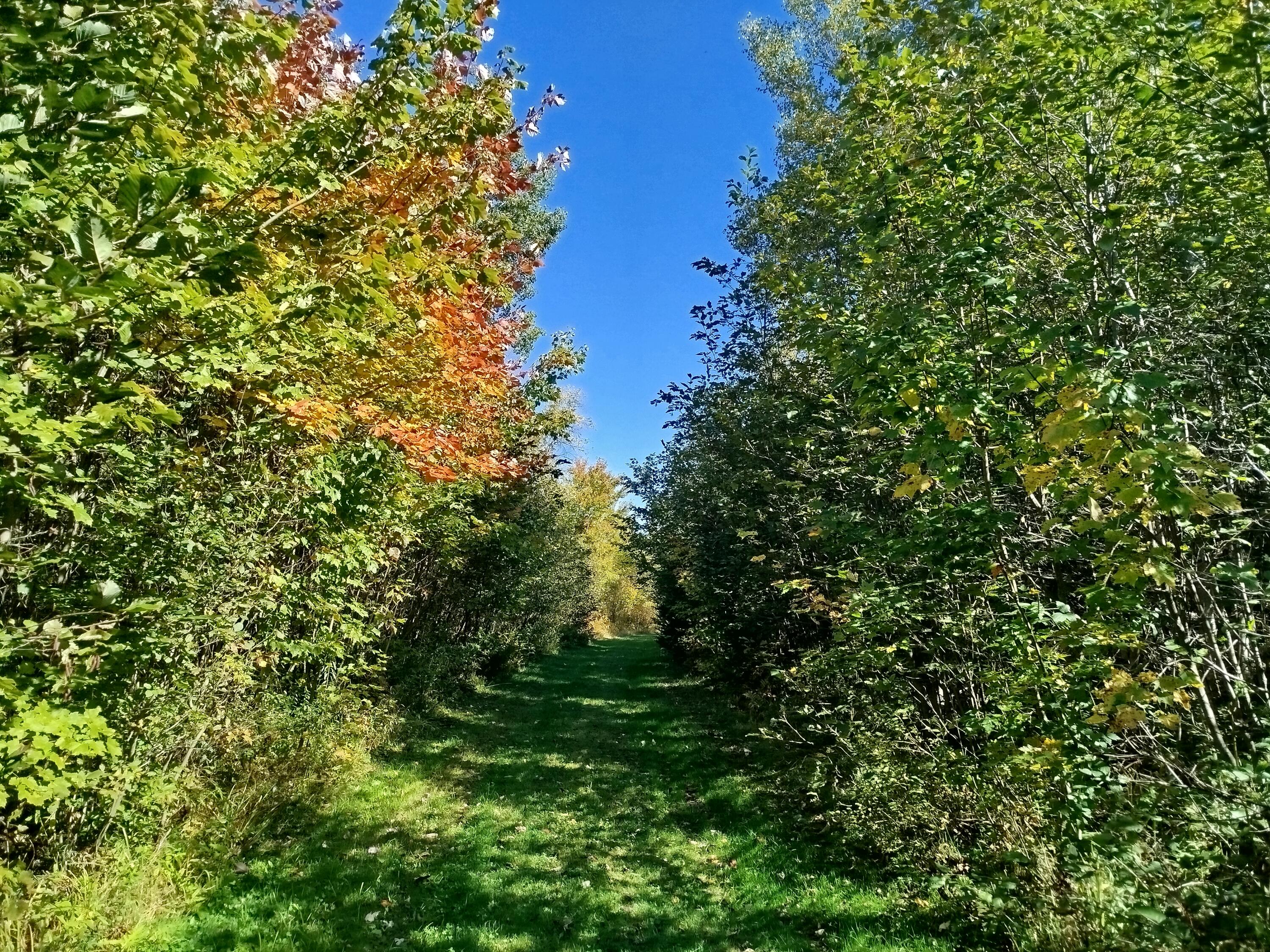 717 Crystal Road Crystal ME 04747