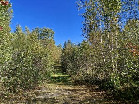 717 Crystal Road Crystal ME 04747