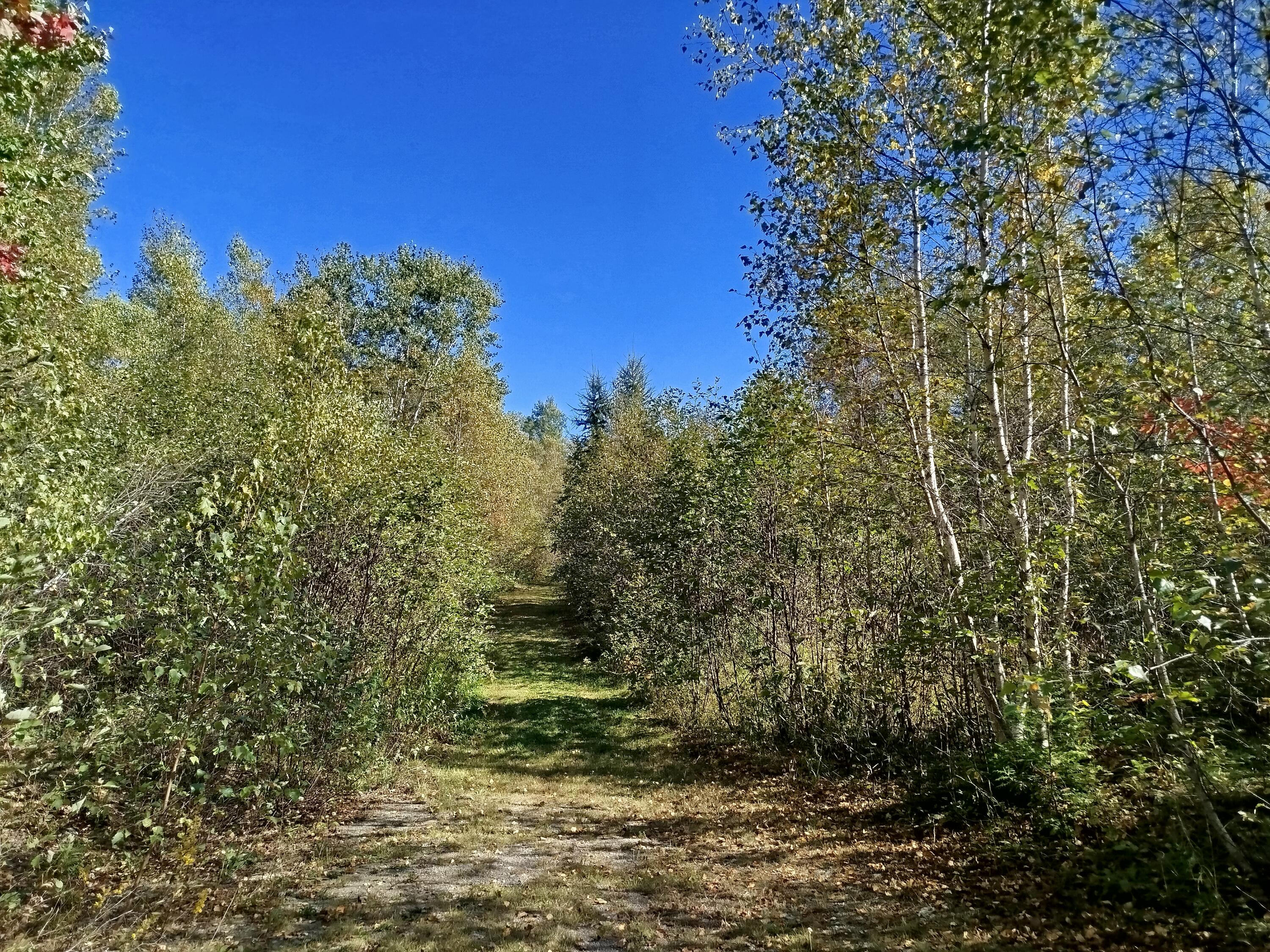 717 Crystal Road Crystal ME 04747