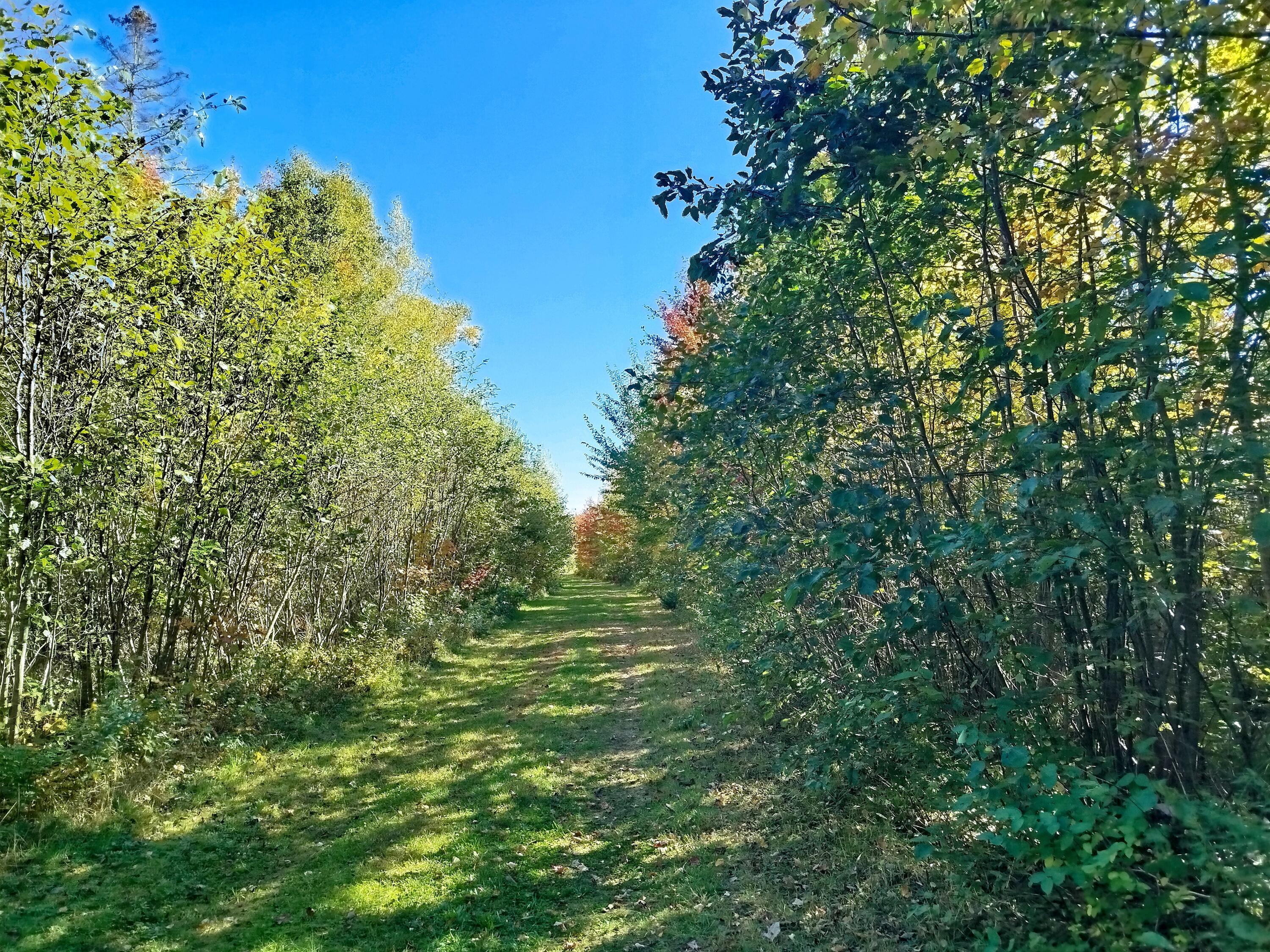 717 Crystal Road Crystal ME 04747