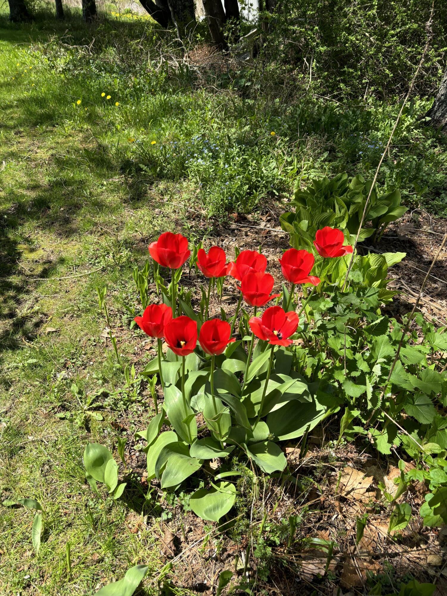 20 Westbrook Street South Thomaston ME 04858