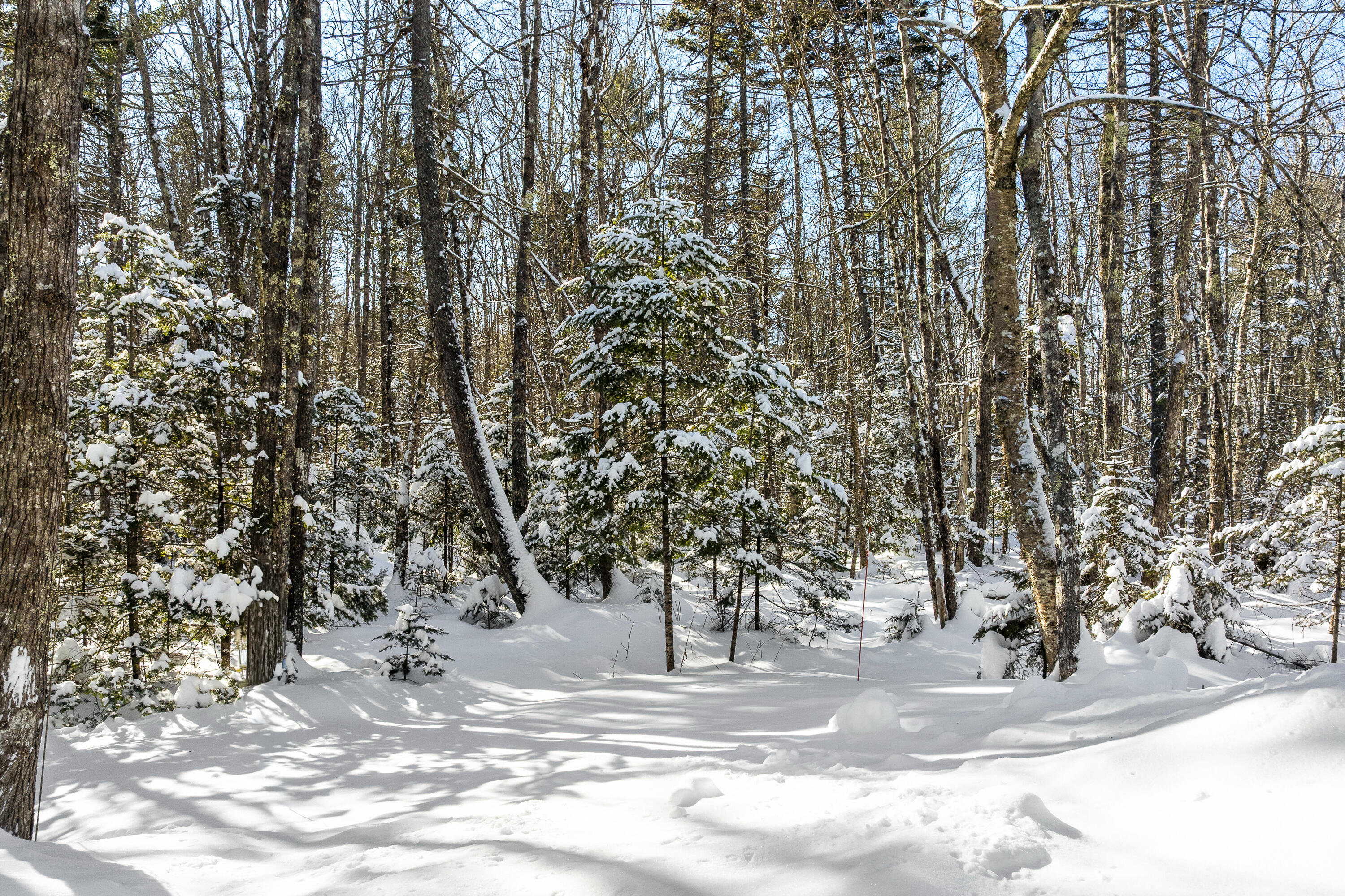 441 Split Rock Road Bristol ME 04539