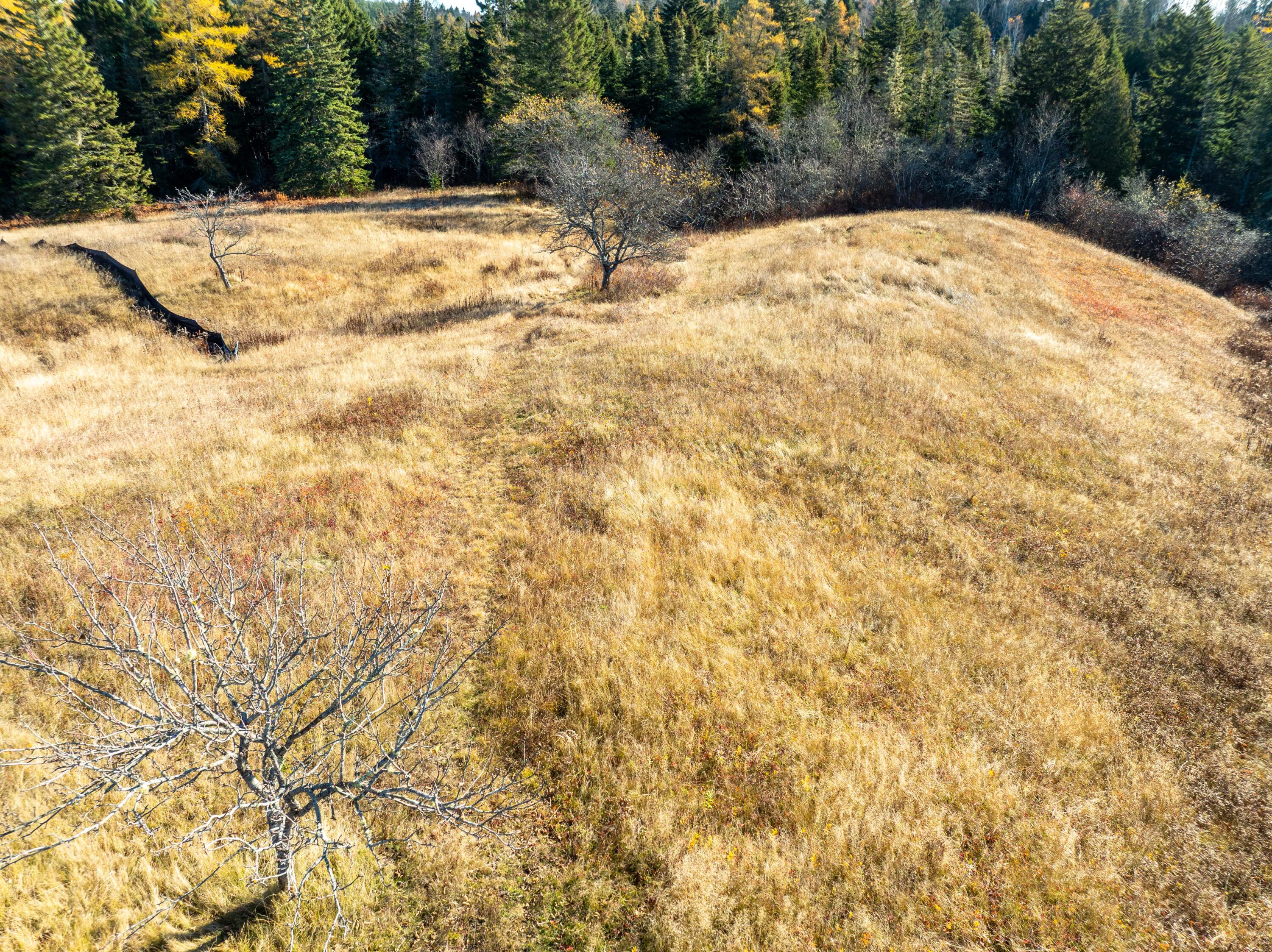 72 Old Us Route 1 Jonesboro ME 04648