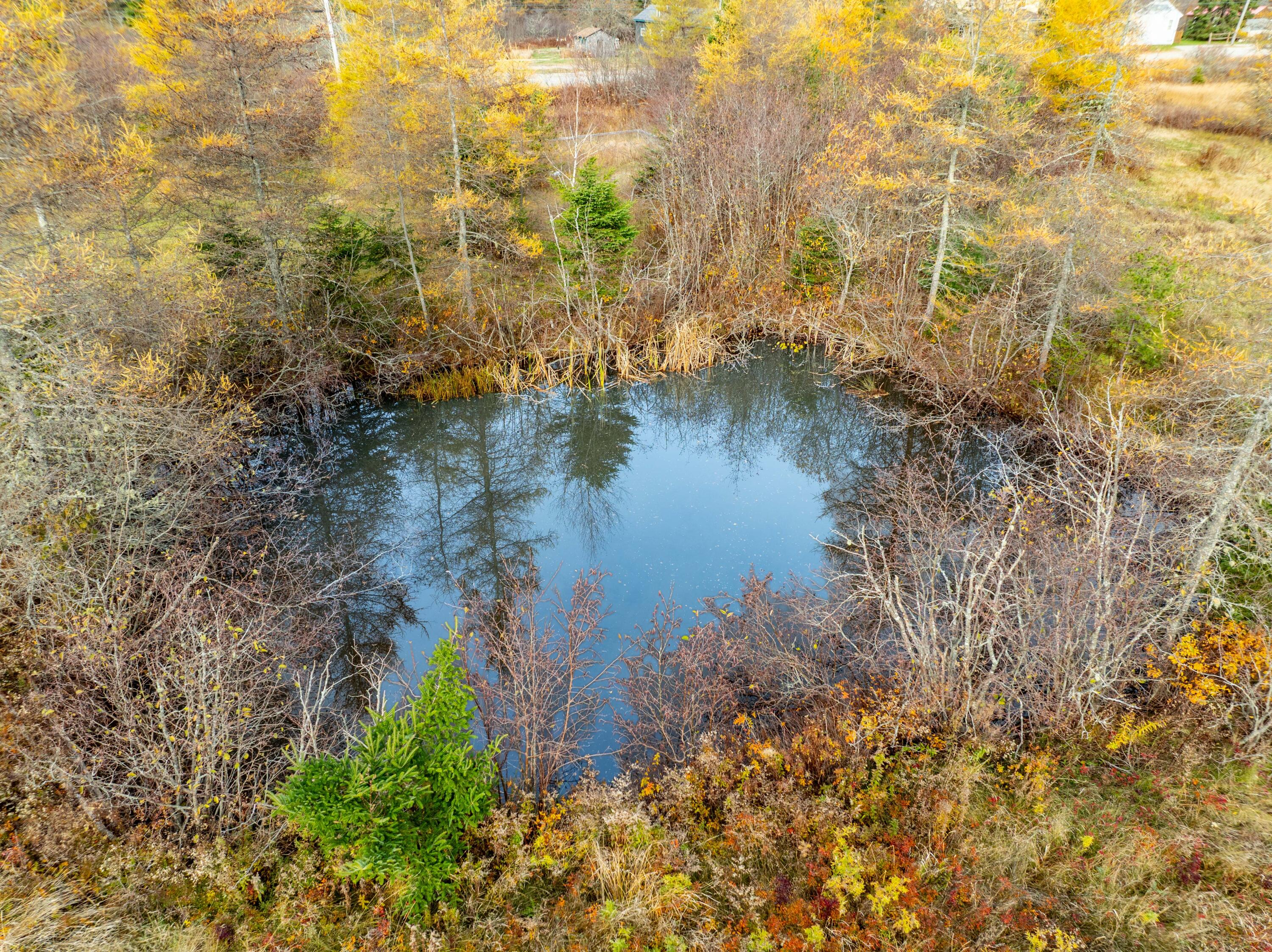 72 Old Us Route 1 Jonesboro ME 04648