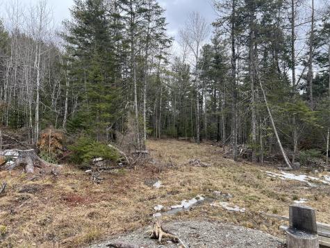 57 Dennis Road Orland ME 04472