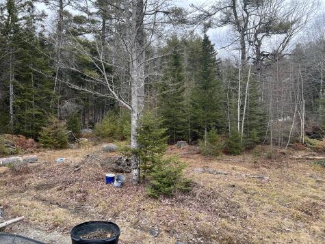 57 Dennis Road Orland ME 04472