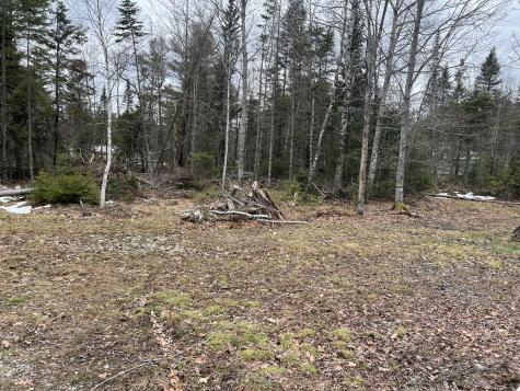 57 Dennis Road Orland ME 04472