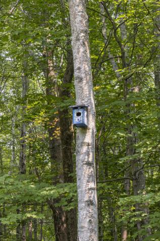 91 Blackstrap Road Falmouth ME 04105