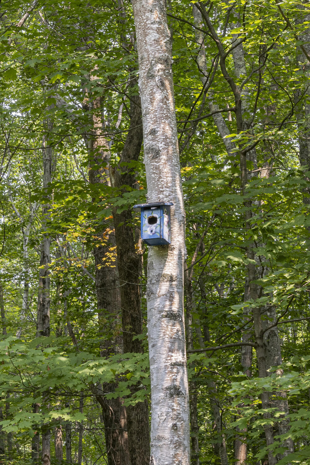 91 Blackstrap Road Falmouth ME 04105