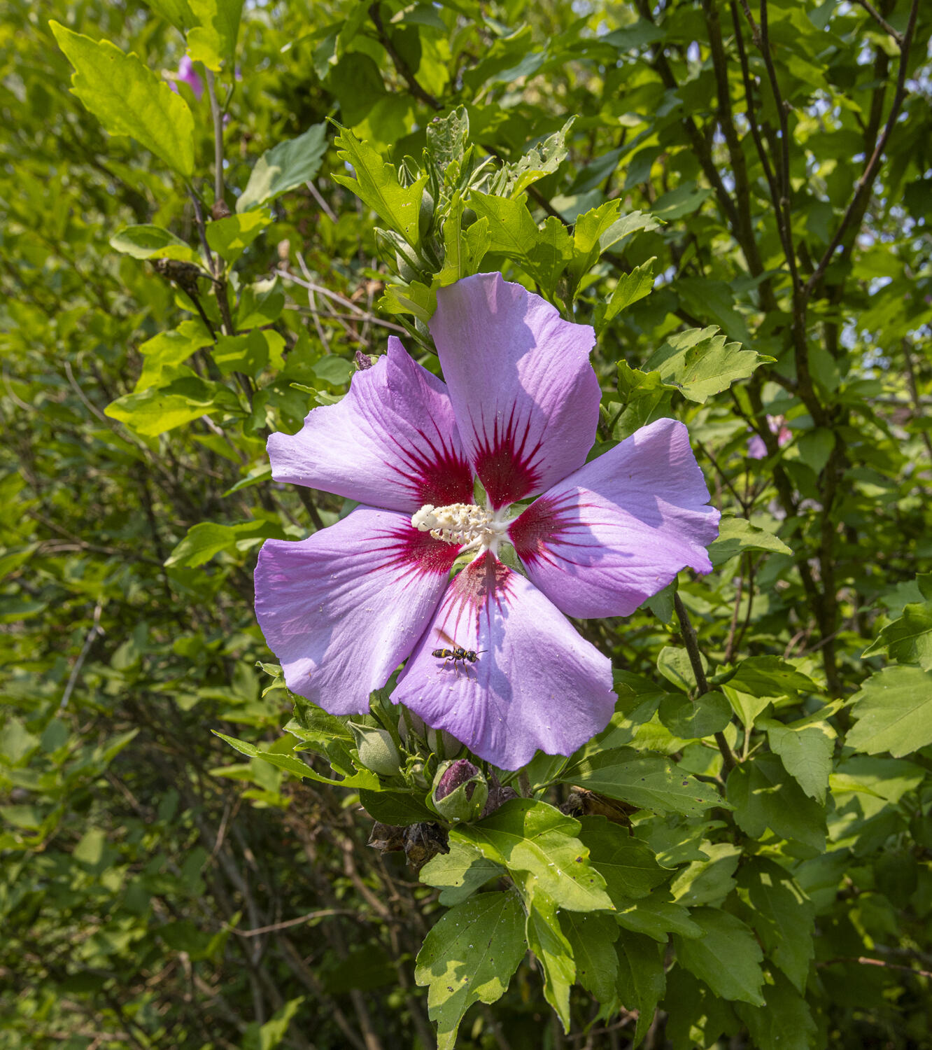 91 Blackstrap Road Falmouth ME 04105