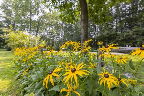 91 Blackstrap Road Falmouth ME 04105