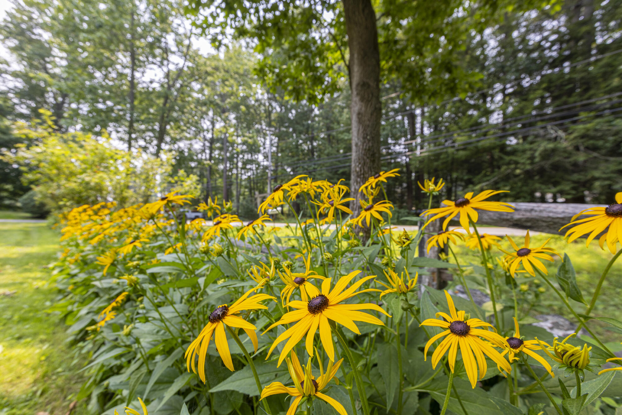 91 Blackstrap Road Falmouth ME 04105