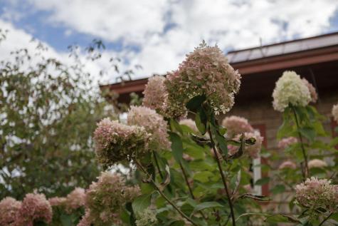 54 Wahl Road Kingfield ME 04947