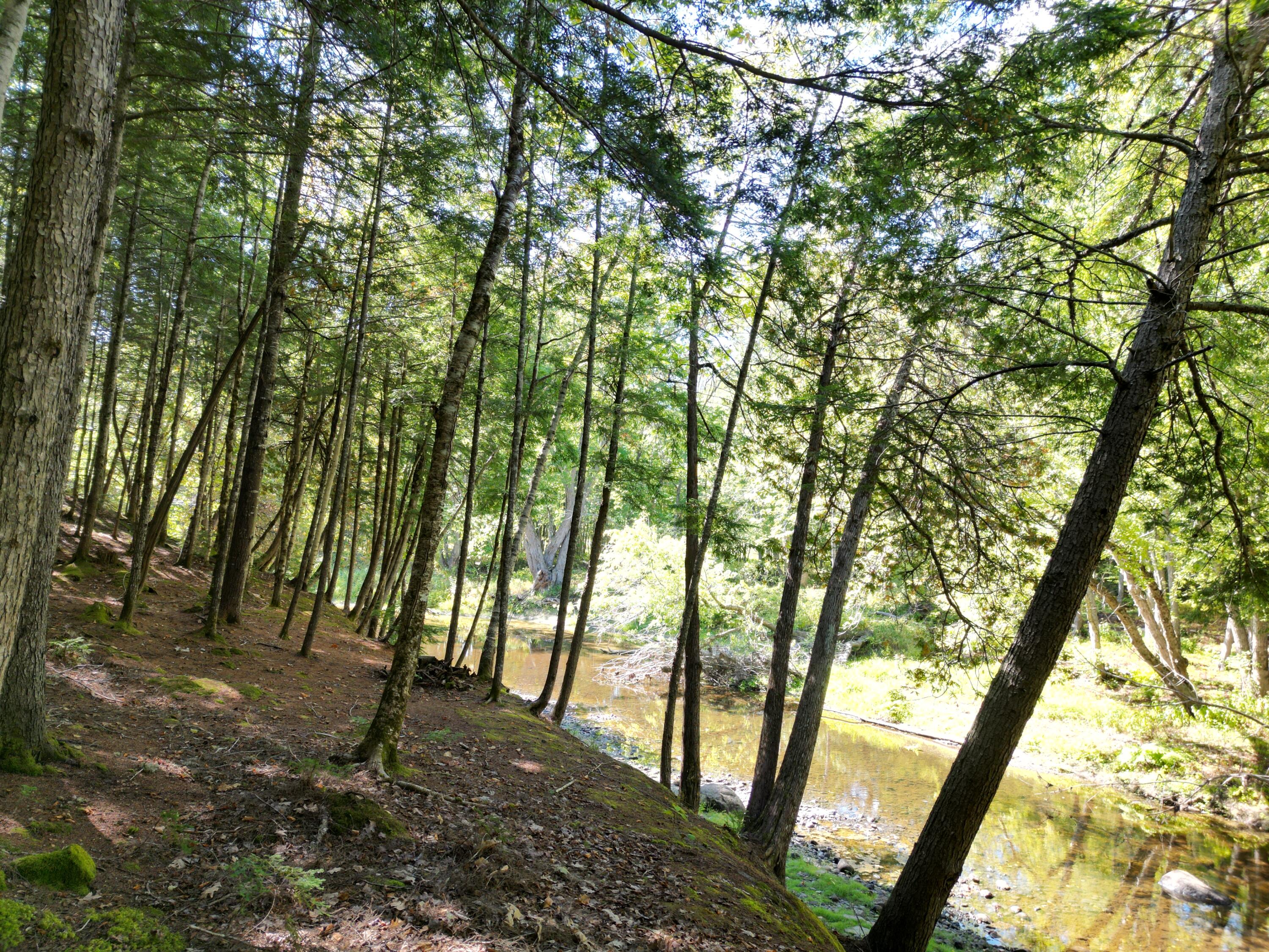 27&29 Loop Road Chester ME 04457