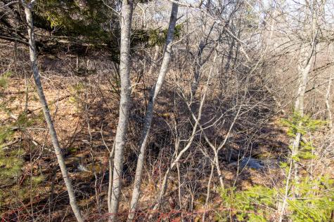 294 Rim Road East Machias ME 04630