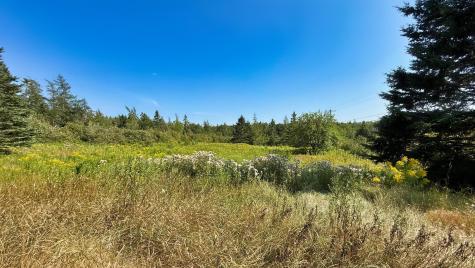 22 Dixie Road Lubec ME 04652