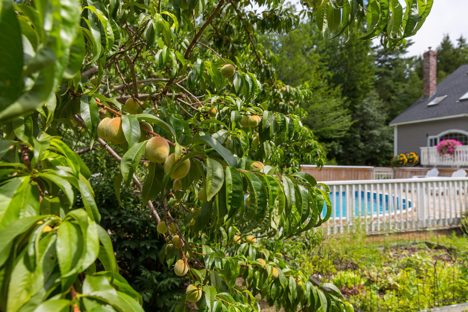 32 Colonial Drive Durham ME 04222