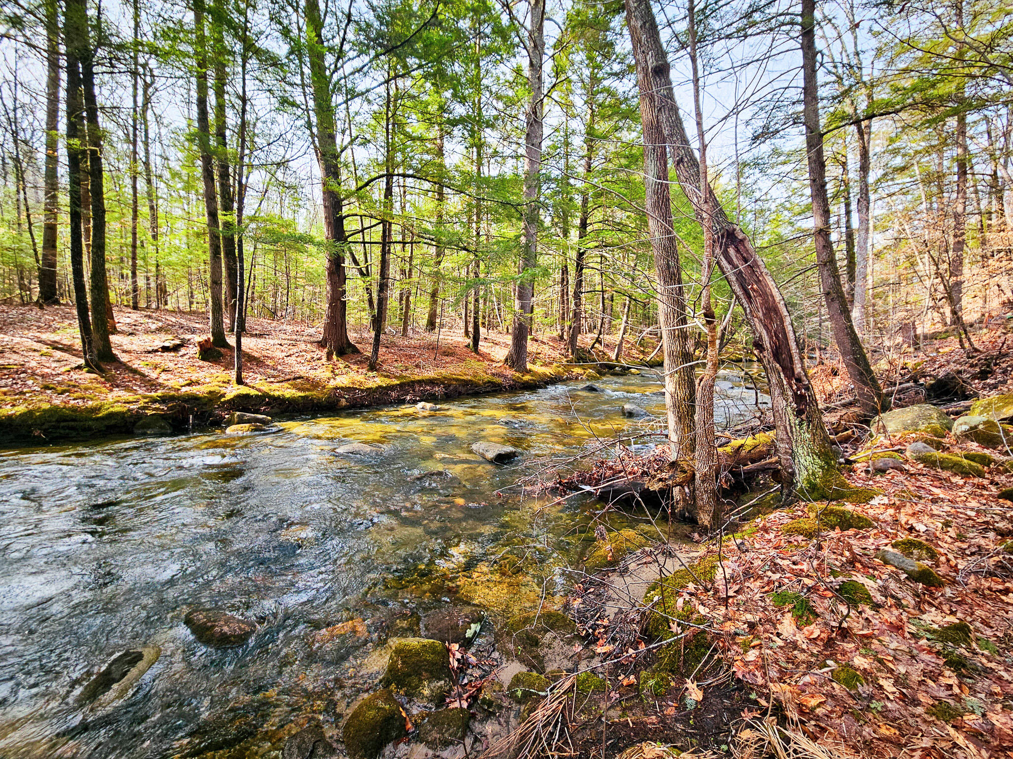 922 Weld Road Wilton ME 04294
