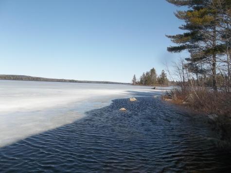 8 Varney Loop Crawford ME 04694