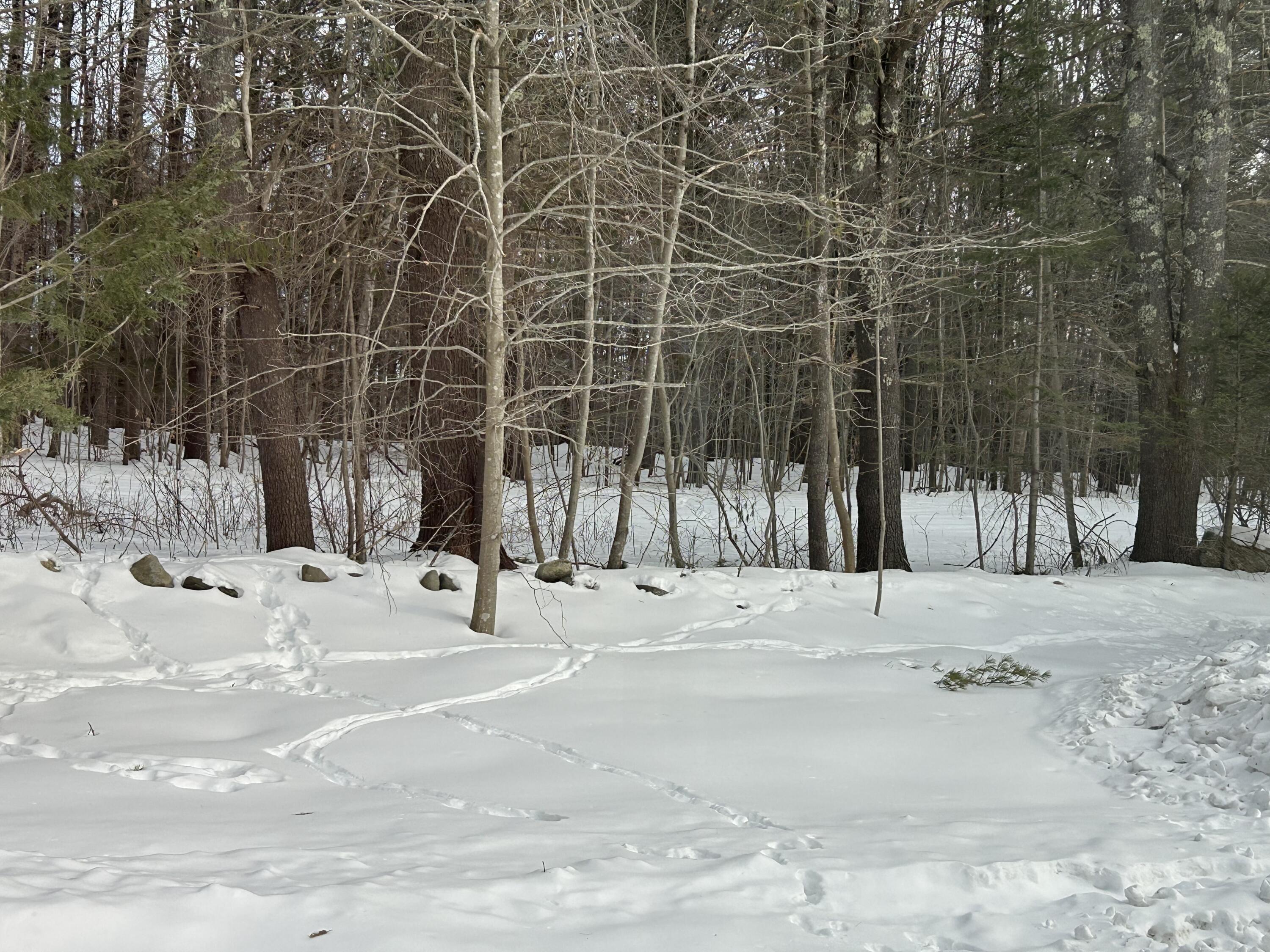 83 Bowdoin Pines Road Bowdoin ME 04287