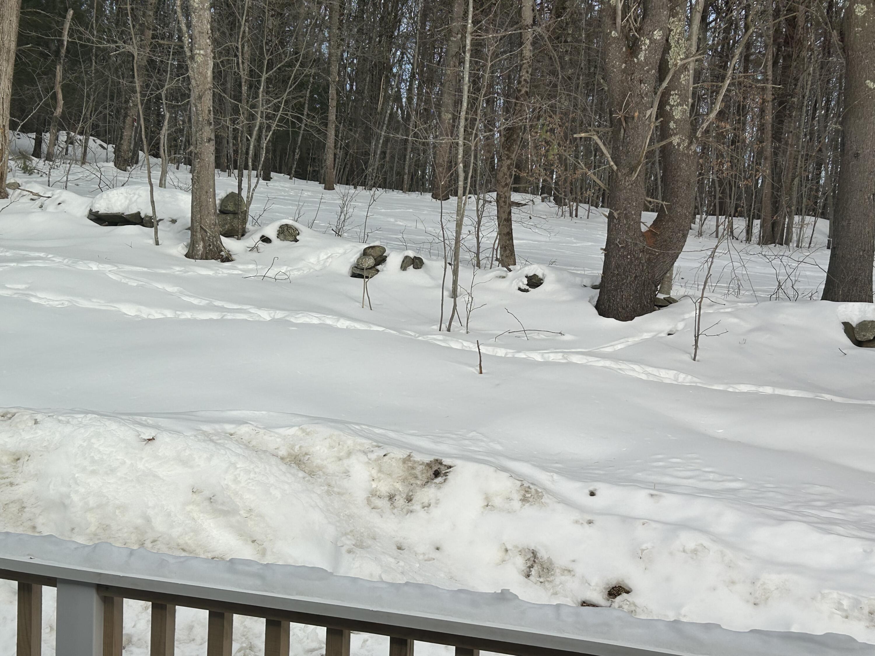 83 Bowdoin Pines Road Bowdoin ME 04287