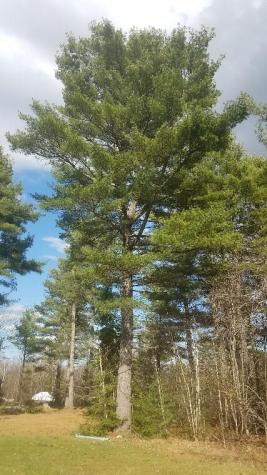 46 Albert Reed Road Orrington ME 04474