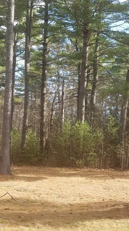 46 Albert Reed Road Orrington ME 04474
