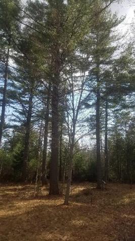 46 Albert Reed Road Orrington ME 04474