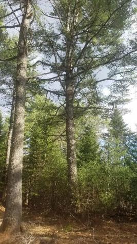 46 Albert Reed Road Orrington ME 04474