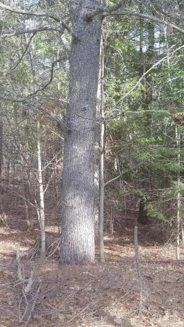 46 Albert Reed Road Orrington ME 04474