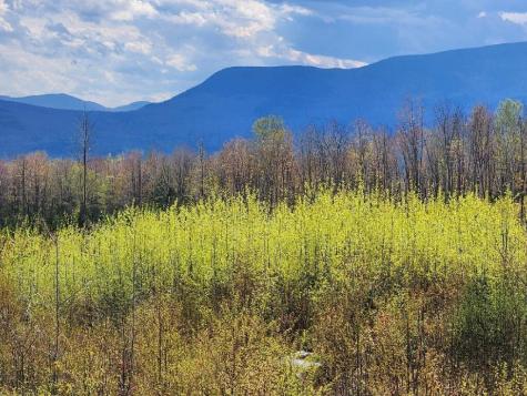 305 Skyline Drive Newry ME 04261