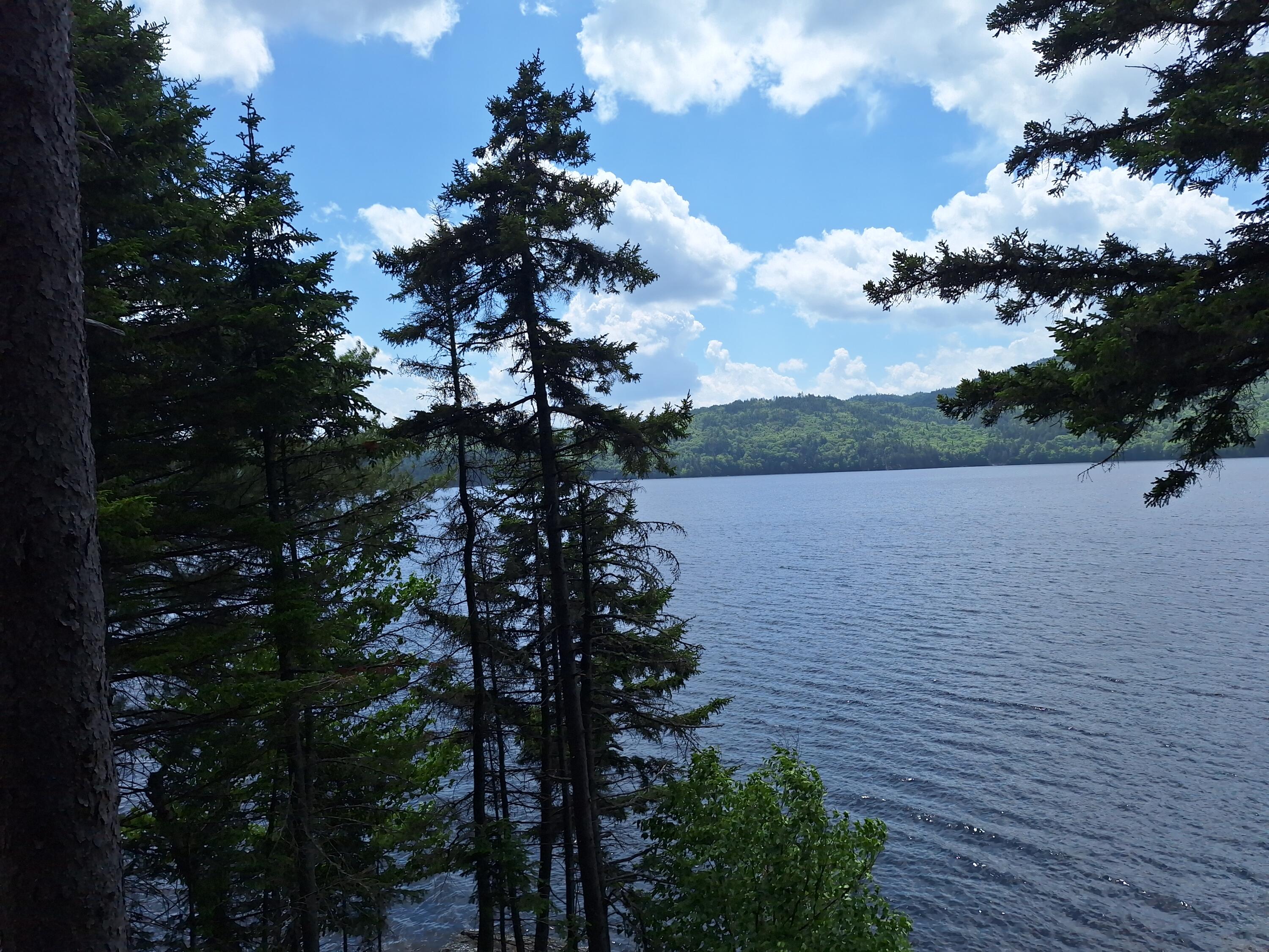 Lot #24-25 Raspberry Lane N Parkertown Twp ME 04970