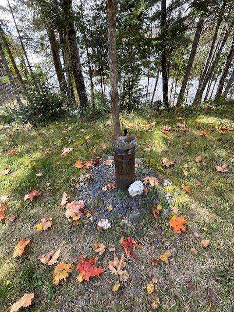 837 Sly Brook Road Wallagrass ME 04781