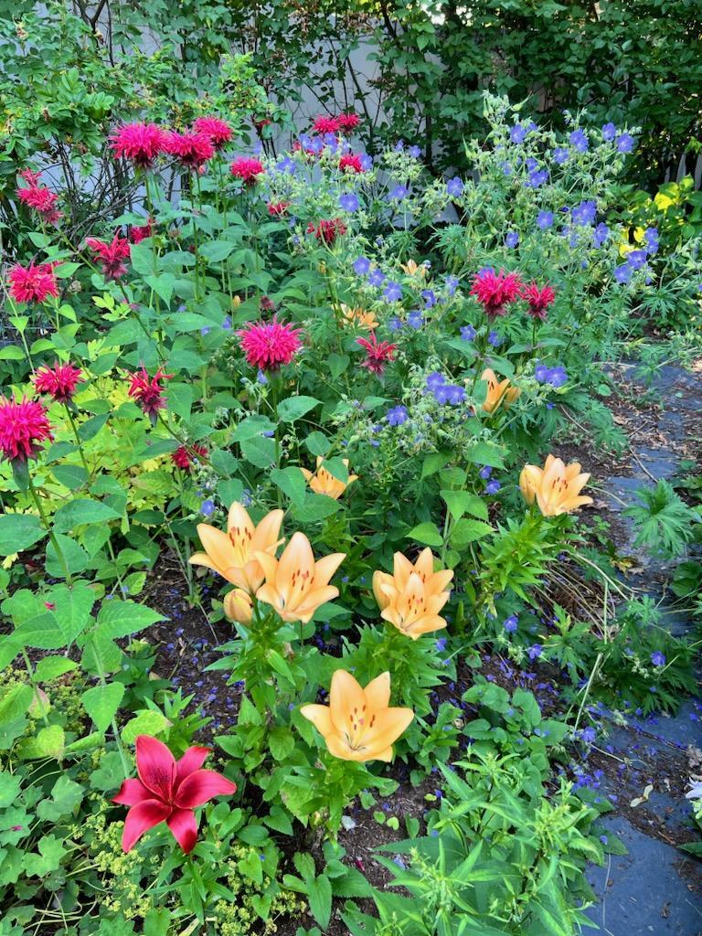 173 Wilson Street Brewer ME 04412