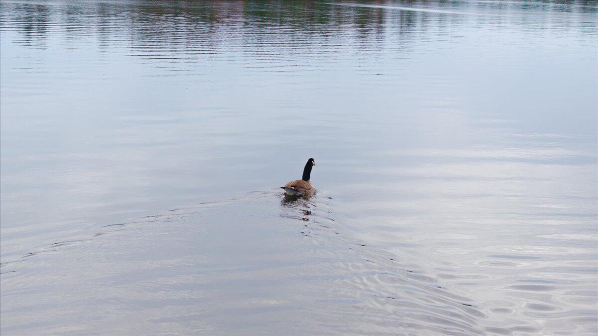 55 Loop Road Acton ME 04001