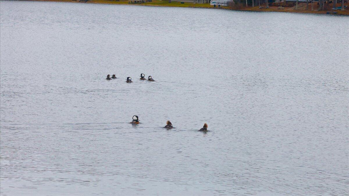 55 Loop Road Acton ME 04001