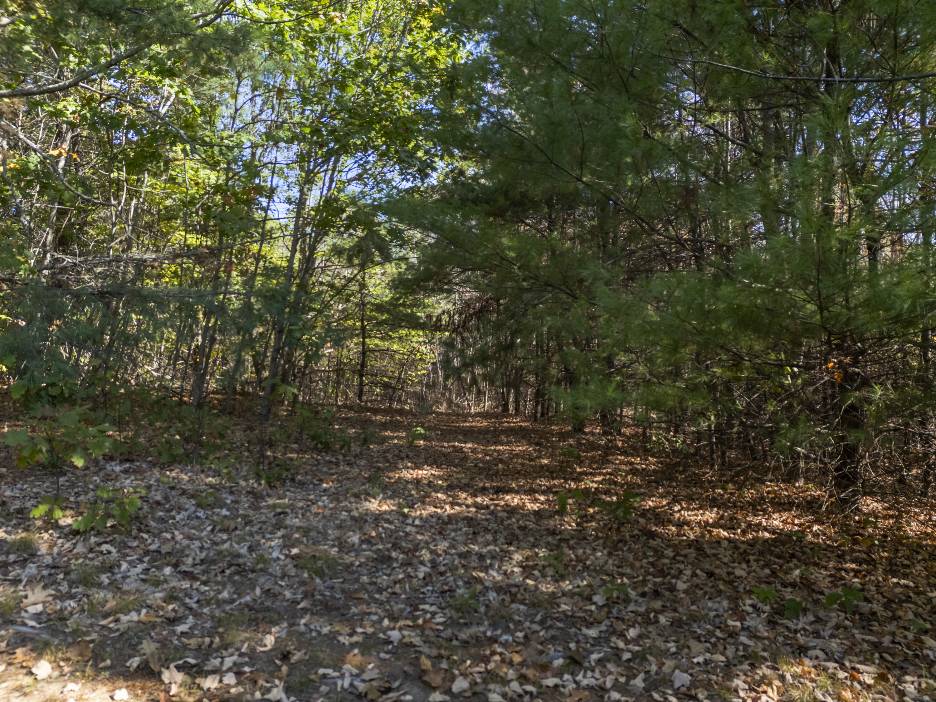 27 Lynn Drive Parsonsfield ME 04047