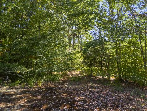 27 Lynn Drive Parsonsfield ME 04047